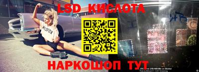 крисы Ирбит