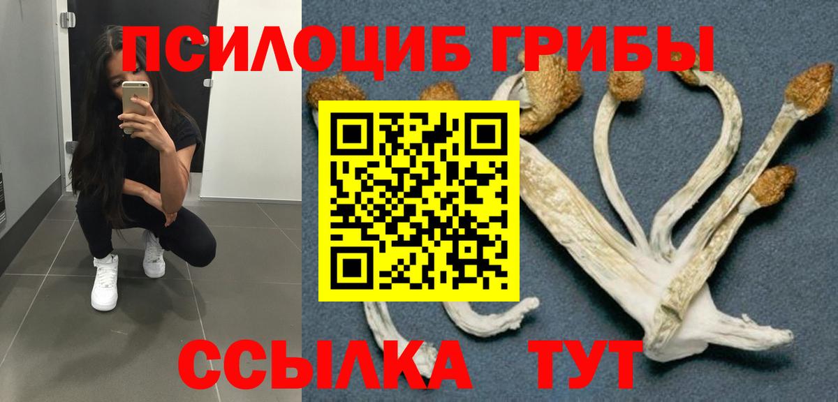 Псилоцибиновые грибы мицелий  Вход с VPN  Псилоцибиновые грибы Psilocybine cubensis  Балашов 